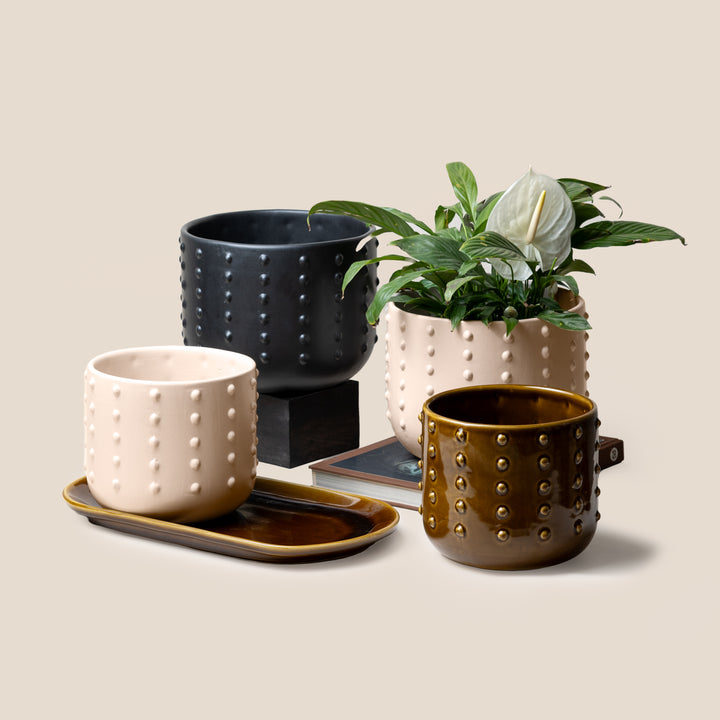 Black Gaia Dotted Planter - M