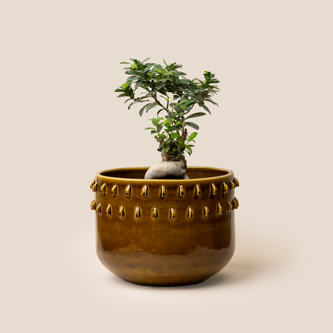 Brown Gaia Spike Planter - L