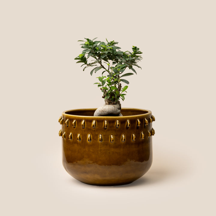 Brown Gaia Spike Planter - L