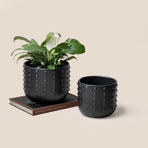 Black GAIA DOTTED PLANTER - L