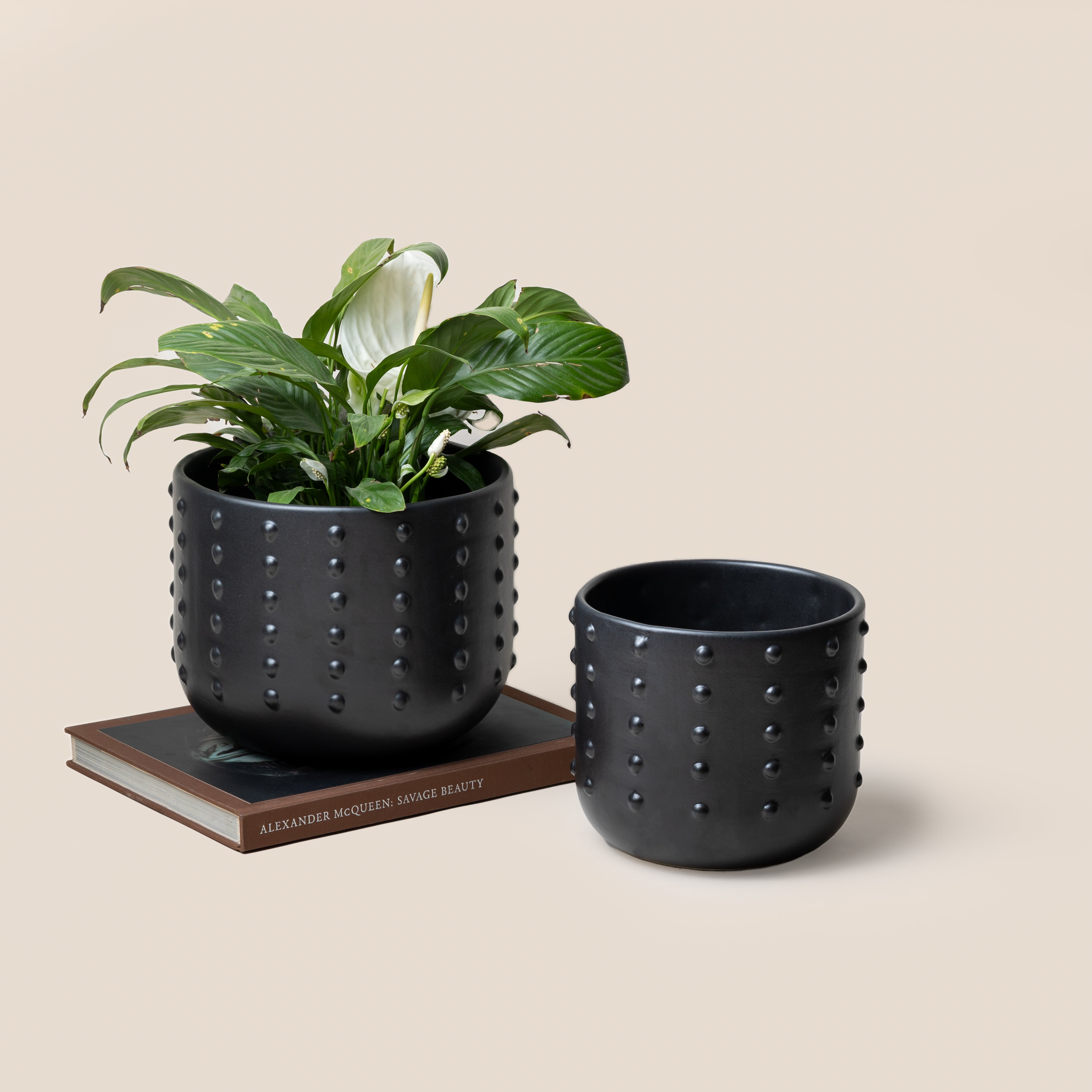 Black GAIA DOTTED PLANTER - L