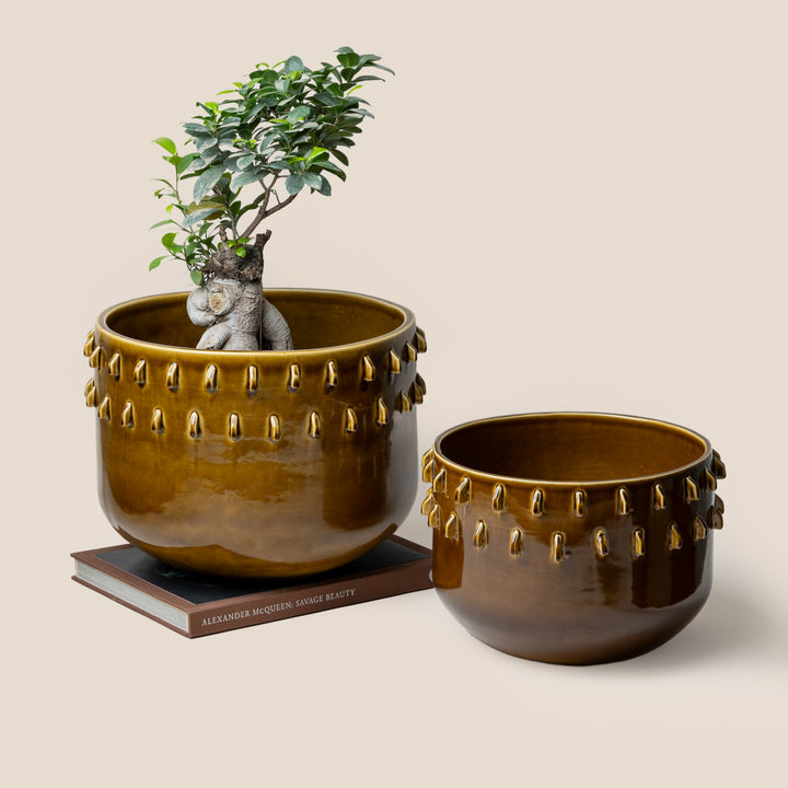 Brown Gaia Spike Planter - L