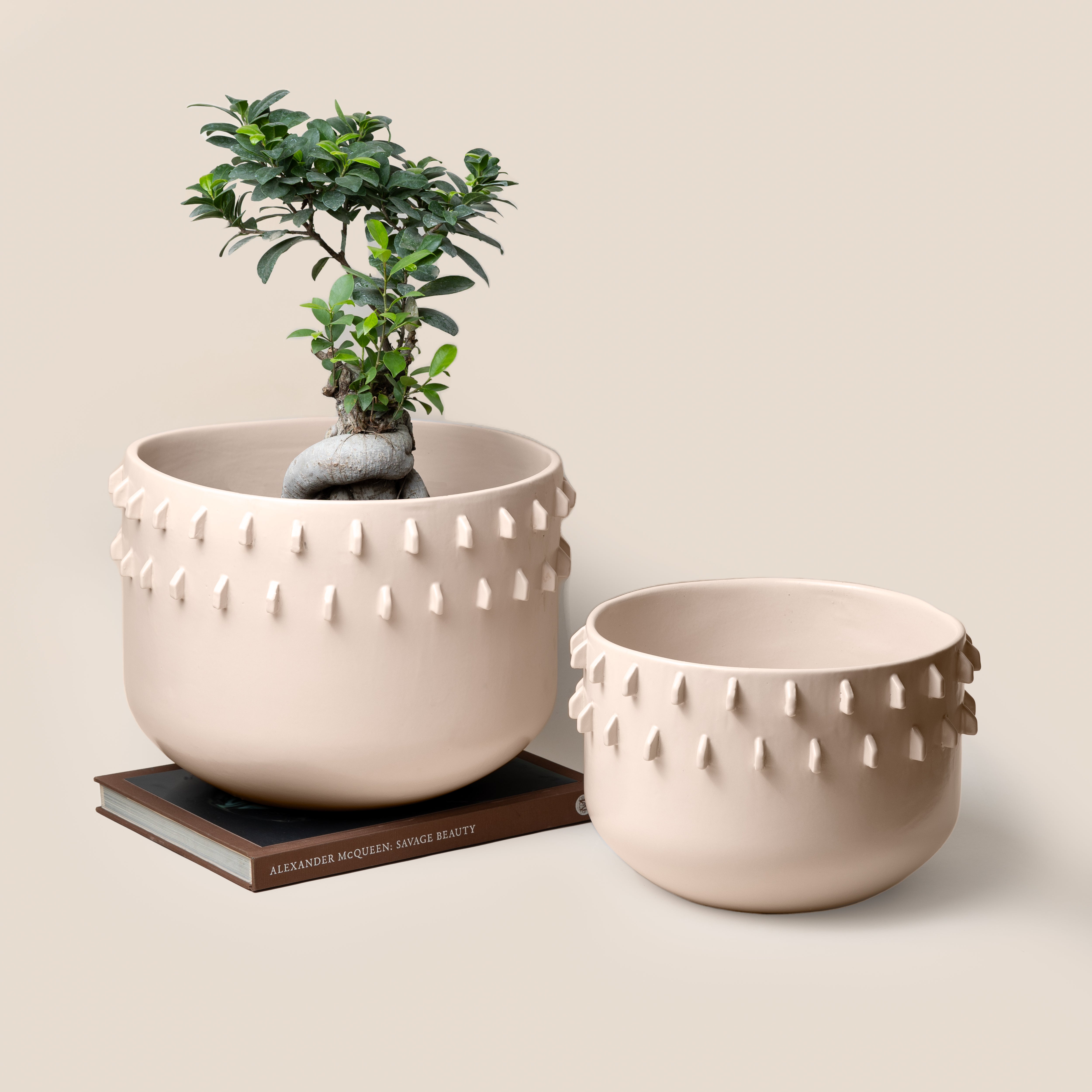 Ivory Gaia Spike Planter - L