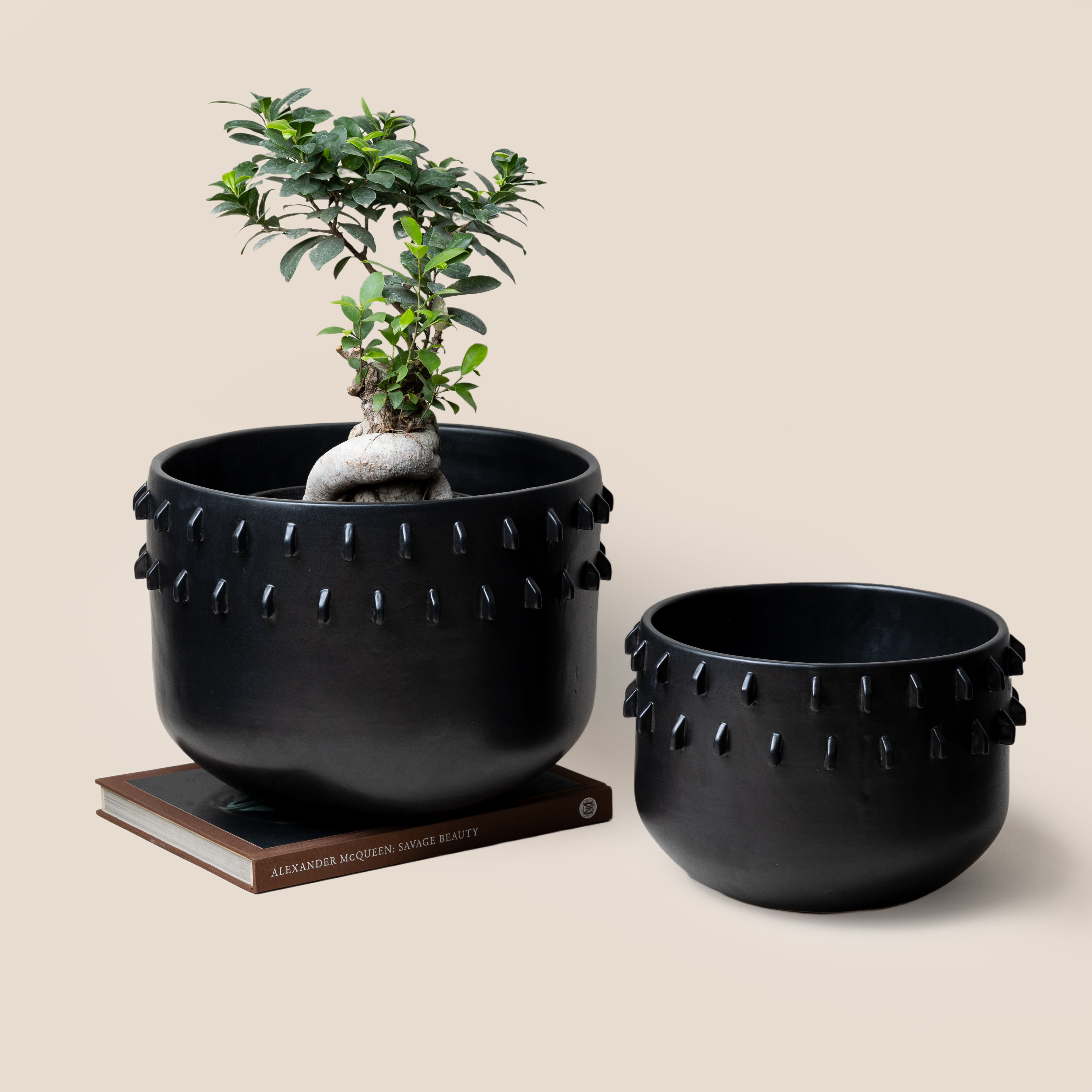 Black Gaia Spike Planter - L