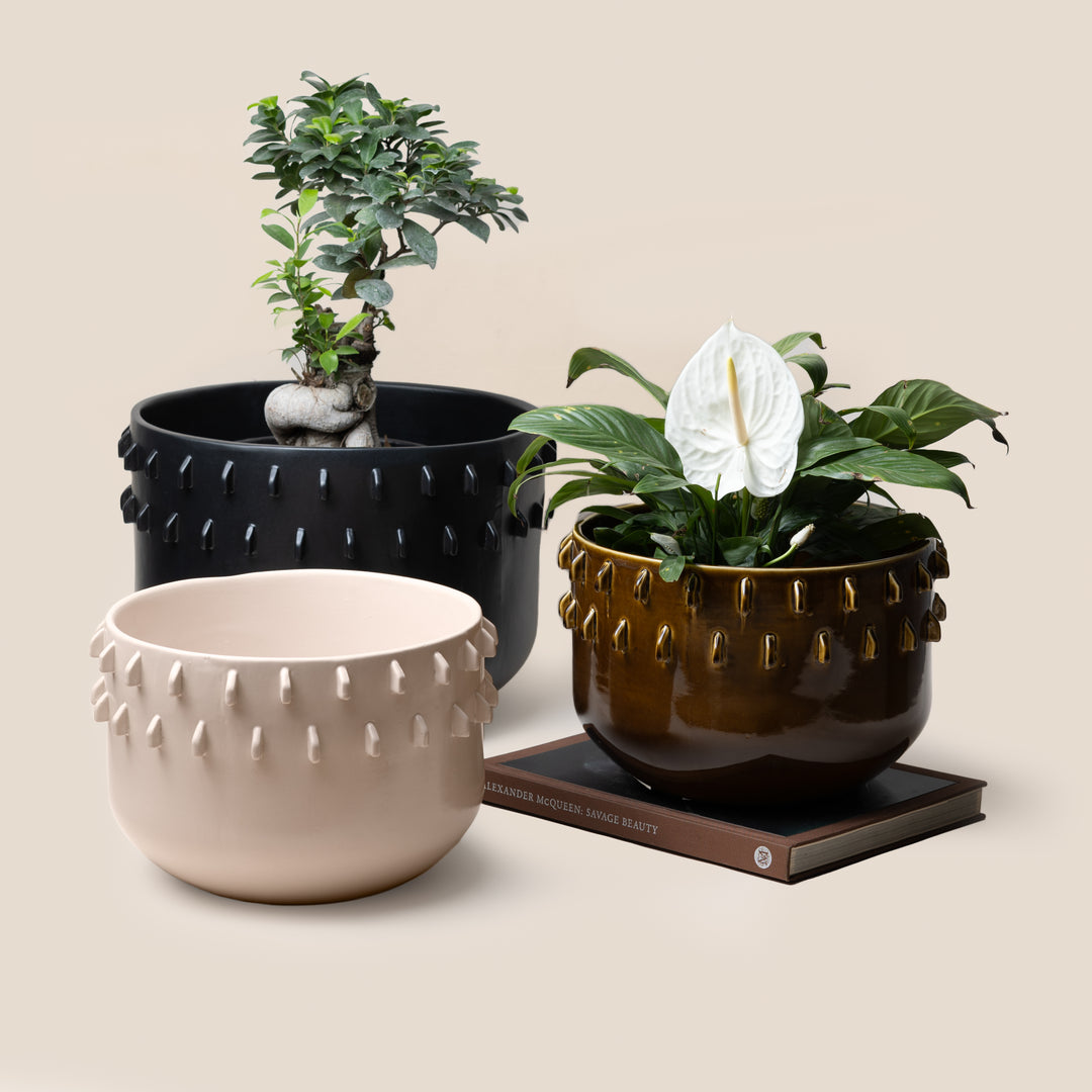 Ivory Gaia Spike Planter - L