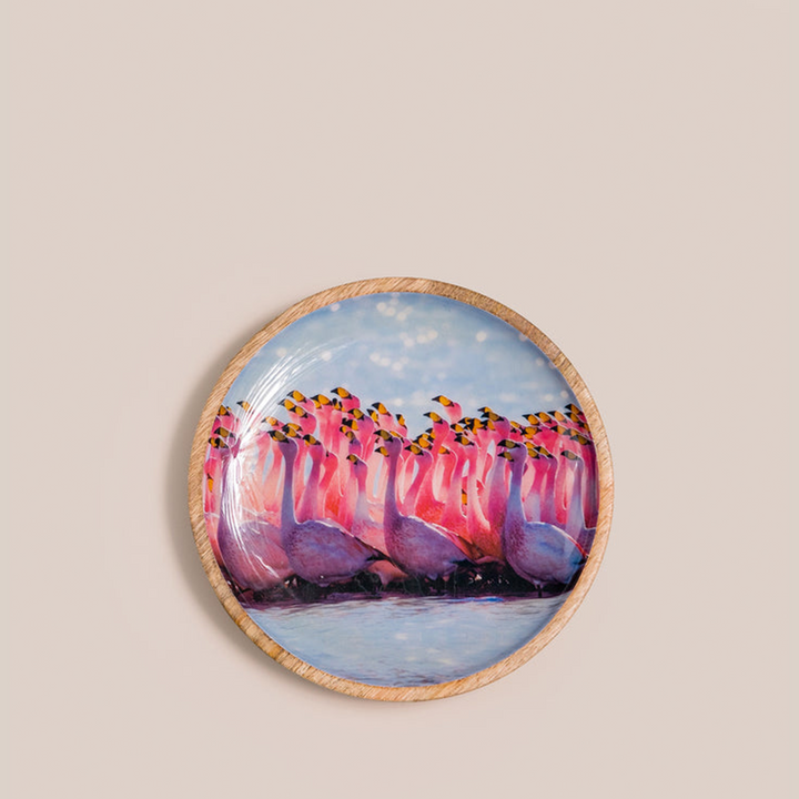Flamenco Rosa 3