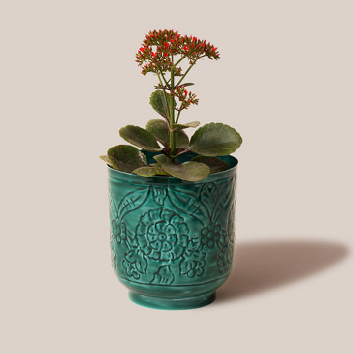Amari Planters - Green