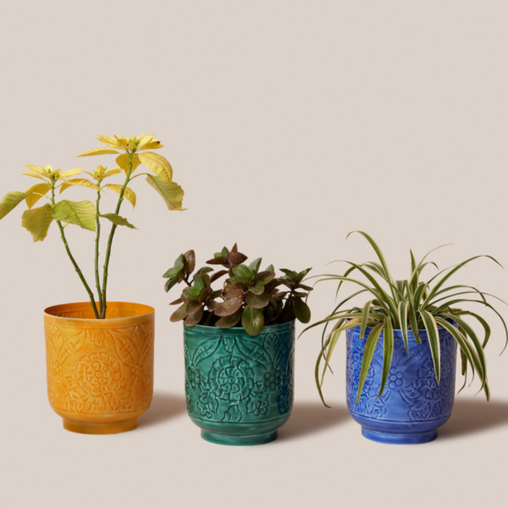 Amari Planters - Green