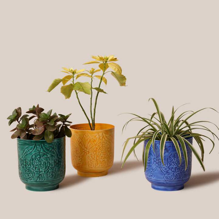 Amari Planters - Blue