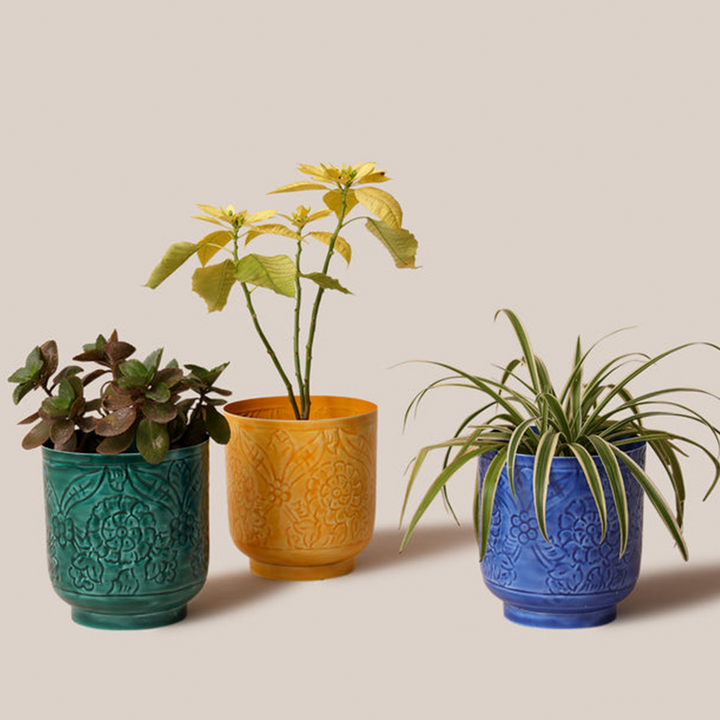 Amari Planters - Green