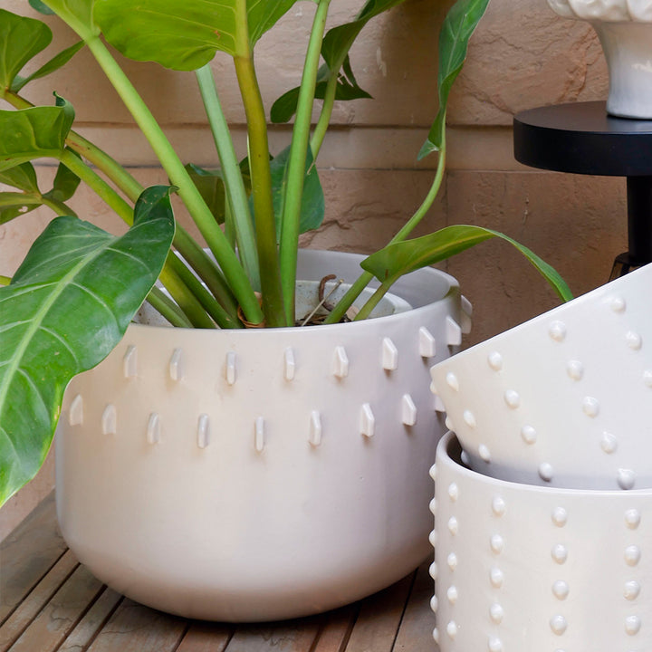 Ivory Gaia Spike Planter - L